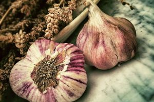 garlic-139659_1280