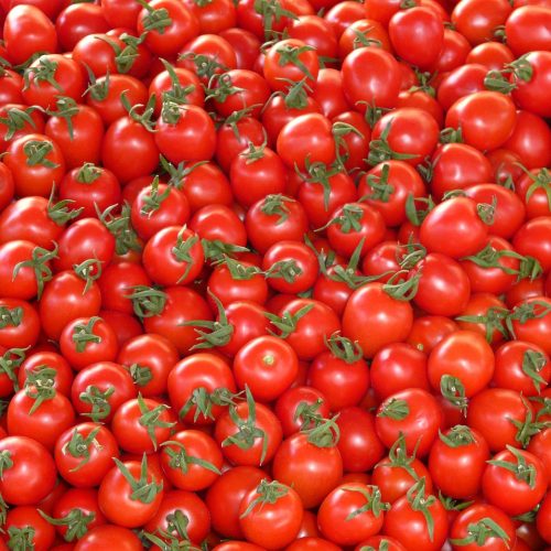 tomatoes